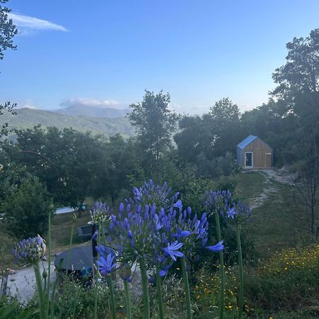 Monkey Tiny Barnhouse With Amazing Views! Folhadosa Exterior foto