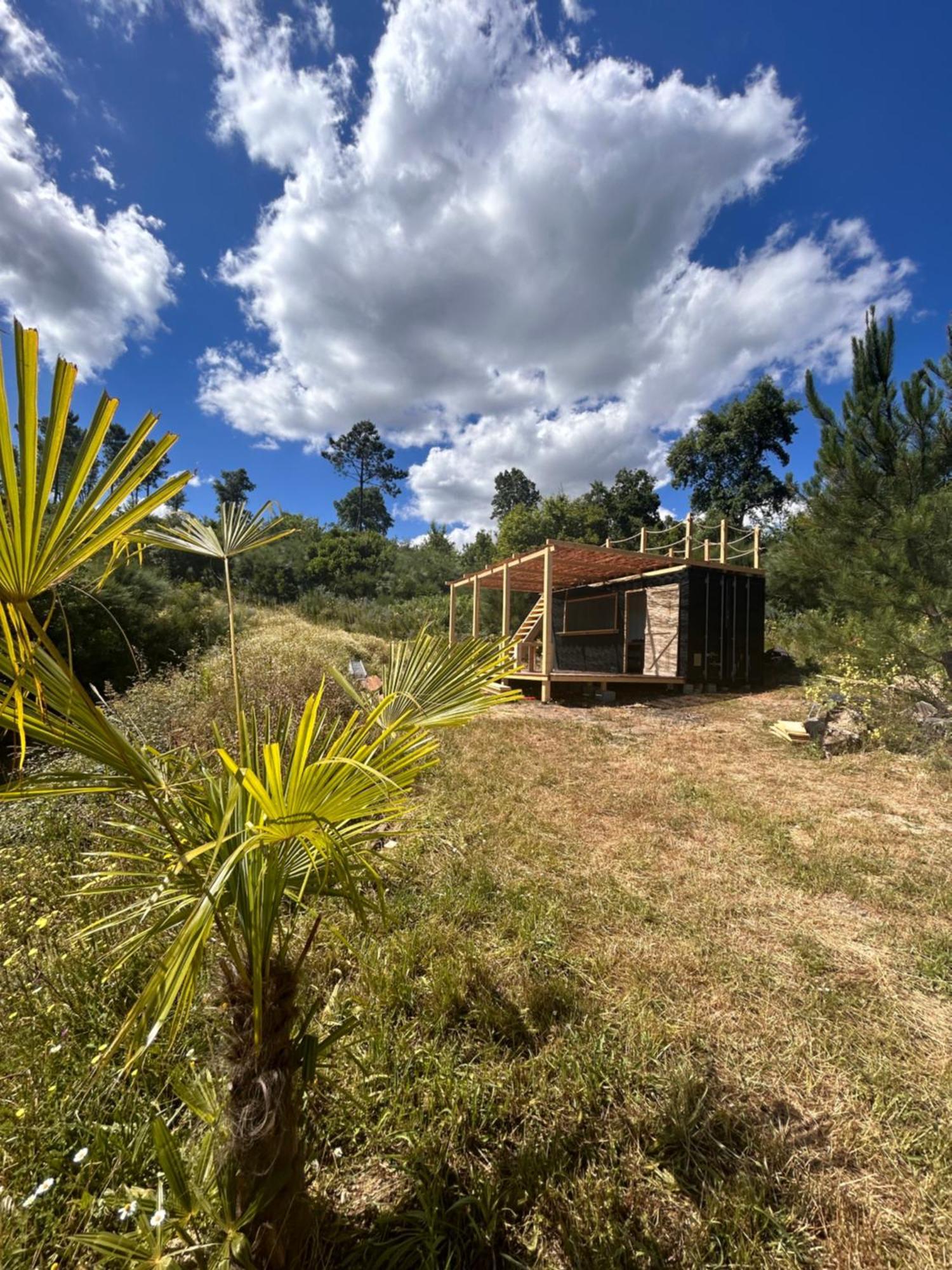 Monkey Tiny Barnhouse With Amazing Views! Folhadosa Exterior foto