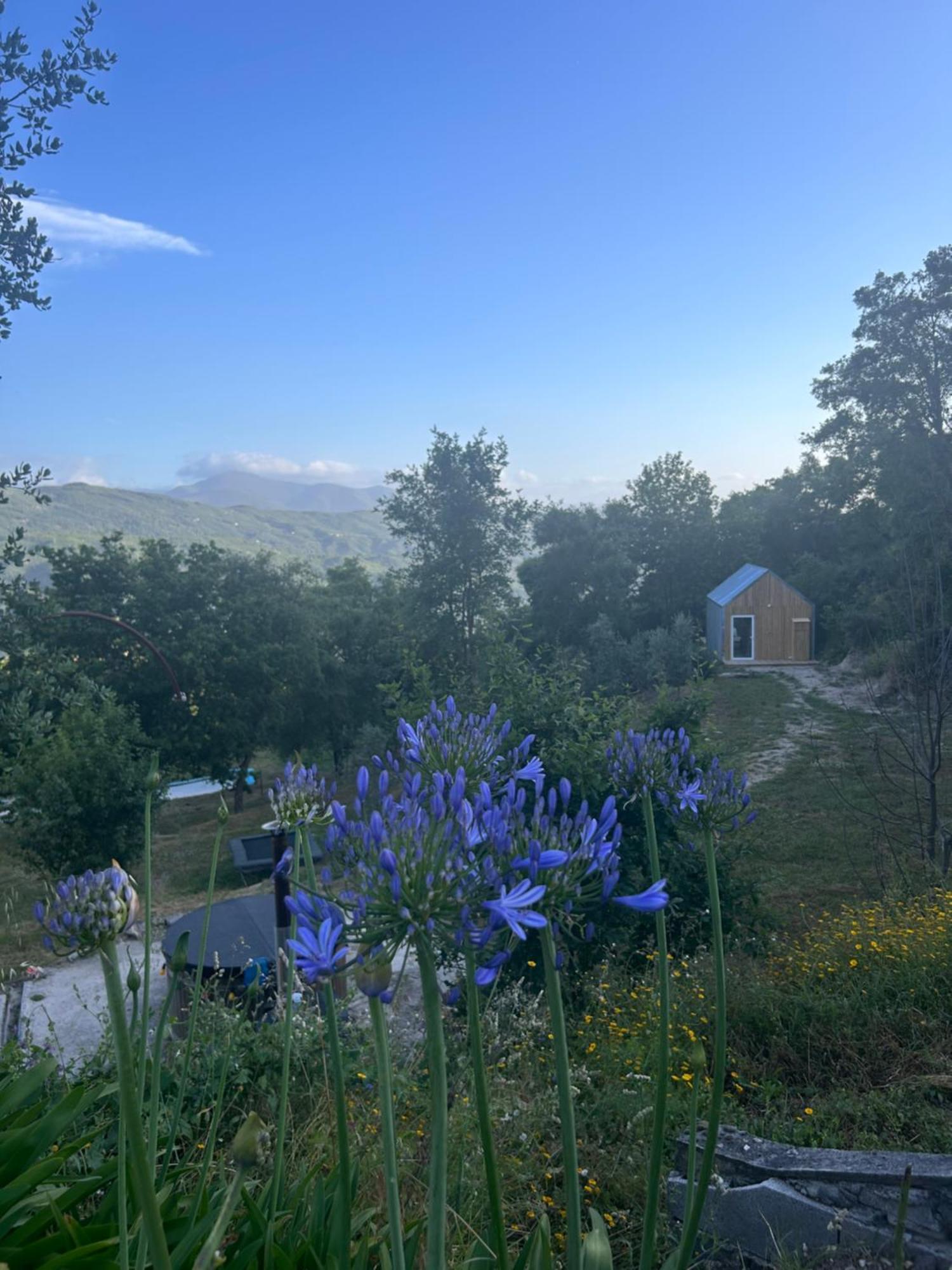 Monkey Tiny Barnhouse With Amazing Views! Folhadosa Exterior foto