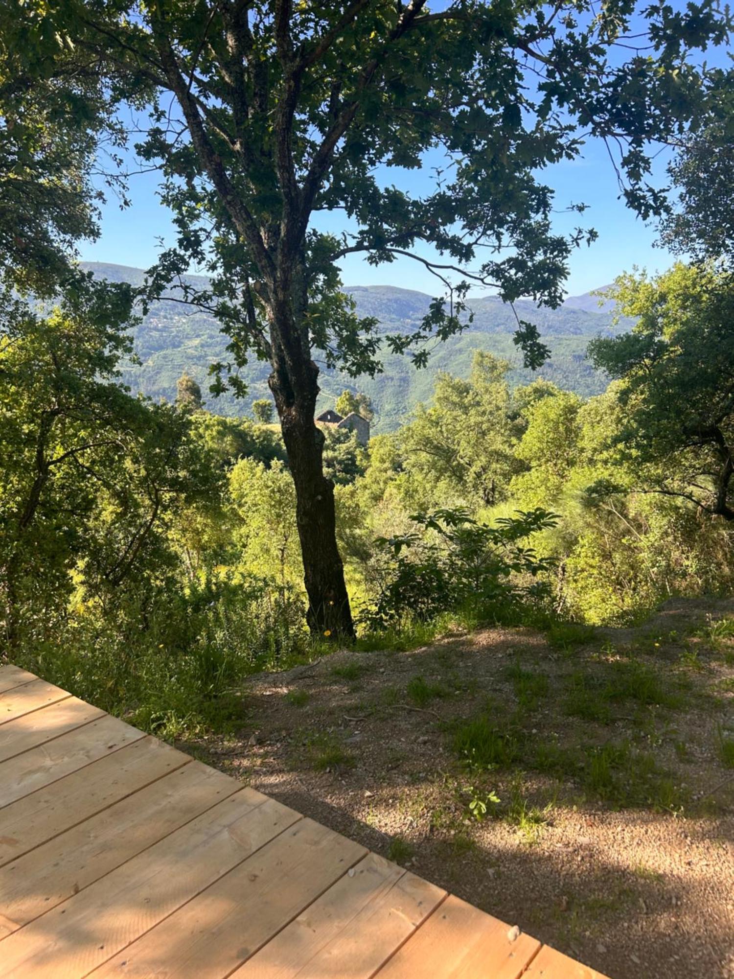 Monkey Tiny Barnhouse With Amazing Views! Folhadosa Exterior foto