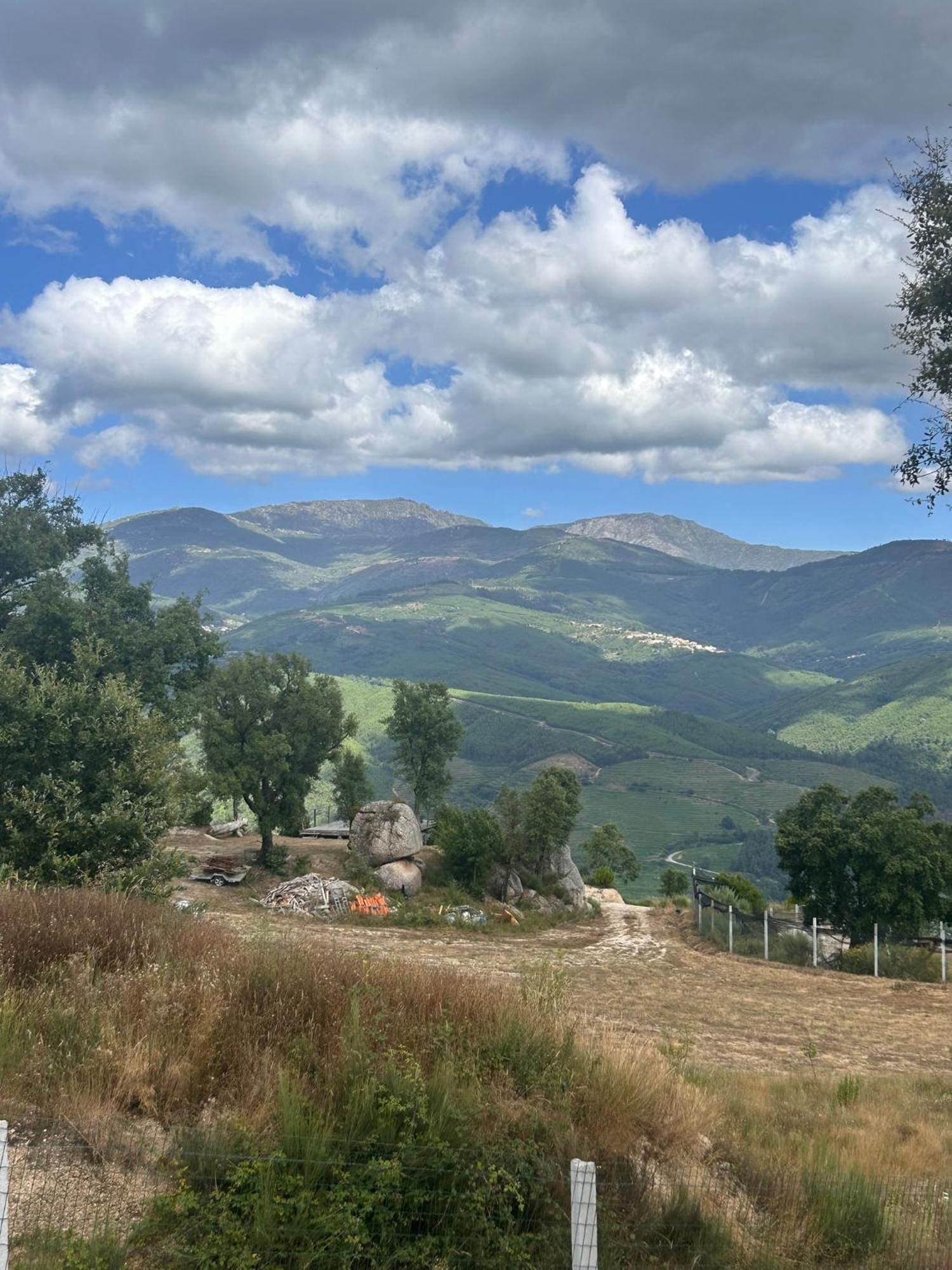 Monkey Tiny Barnhouse With Amazing Views! Folhadosa Exterior foto