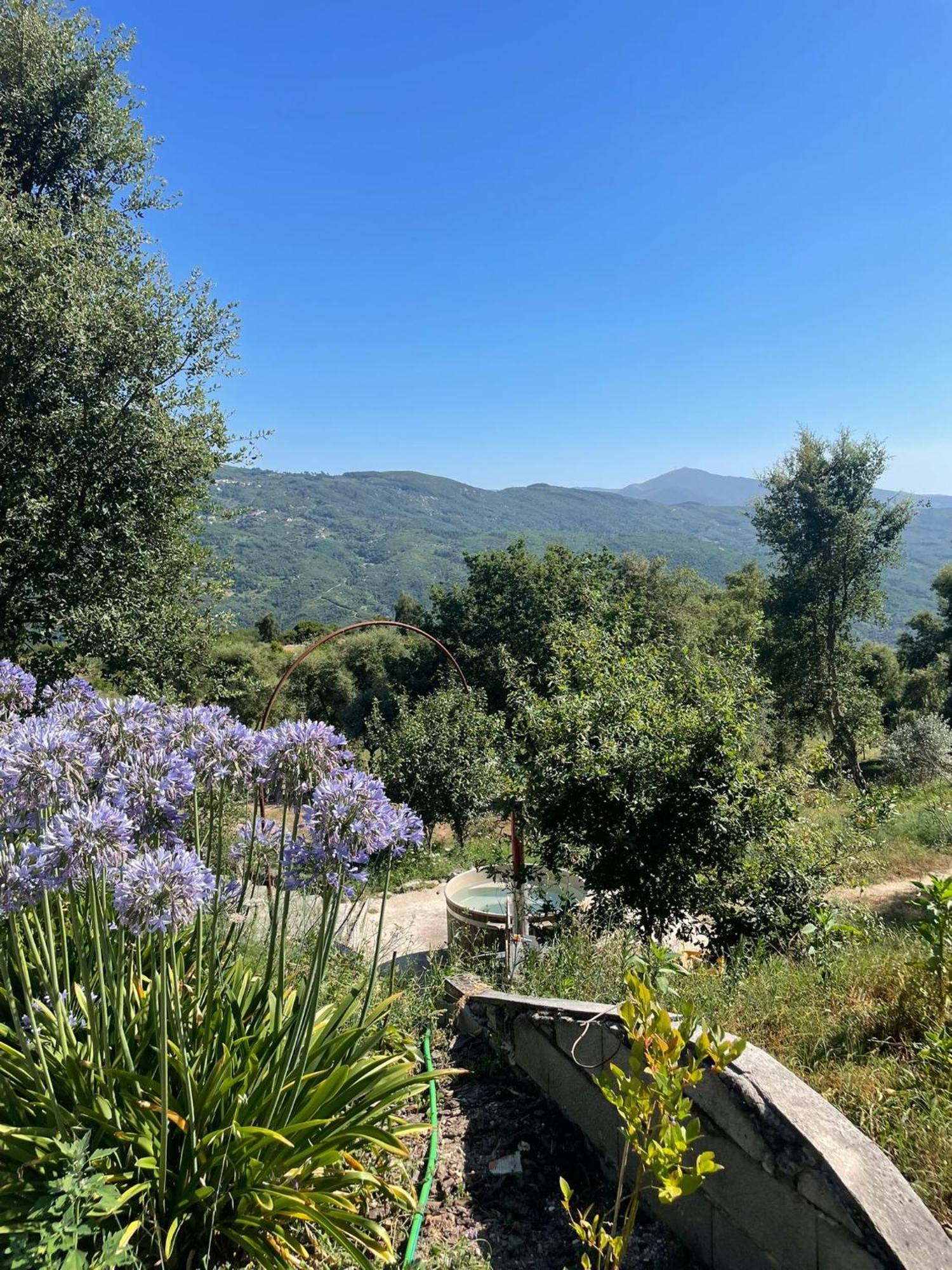 Monkey Tiny Barnhouse With Amazing Views! Folhadosa Exterior foto