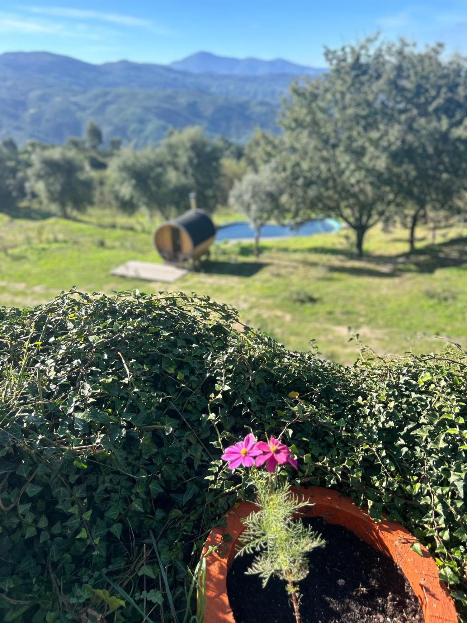 Monkey Tiny Barnhouse With Amazing Views! Folhadosa Exterior foto
