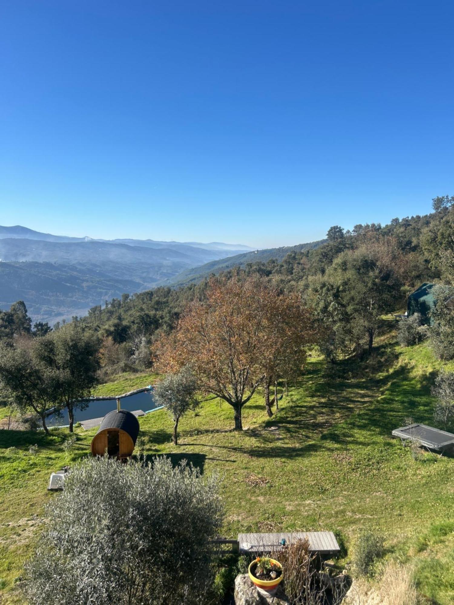 Monkey Tiny Barnhouse With Amazing Views! Folhadosa Exterior foto
