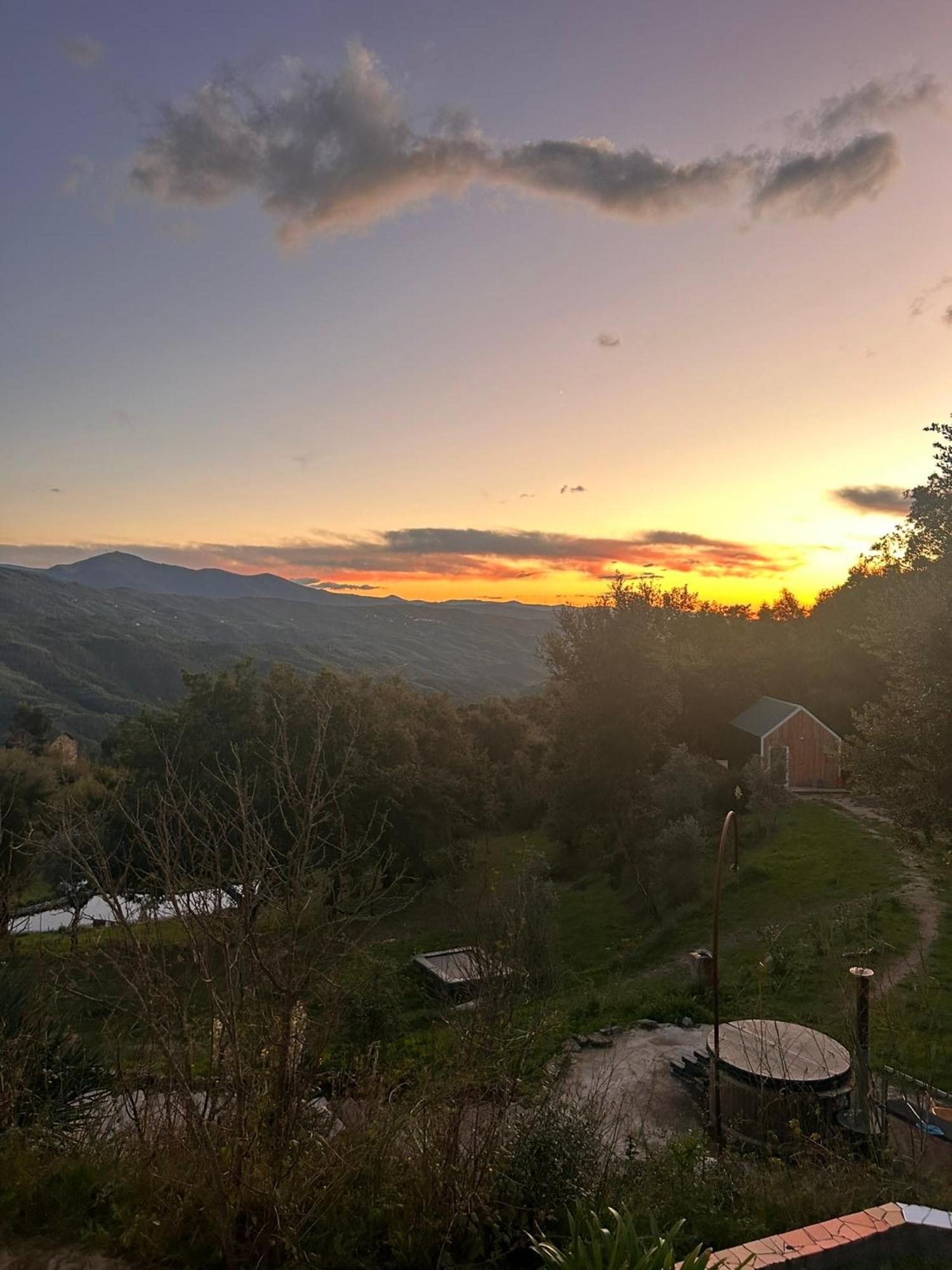 Monkey Tiny Barnhouse With Amazing Views! Folhadosa Exterior foto